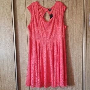 Plus Size Dress